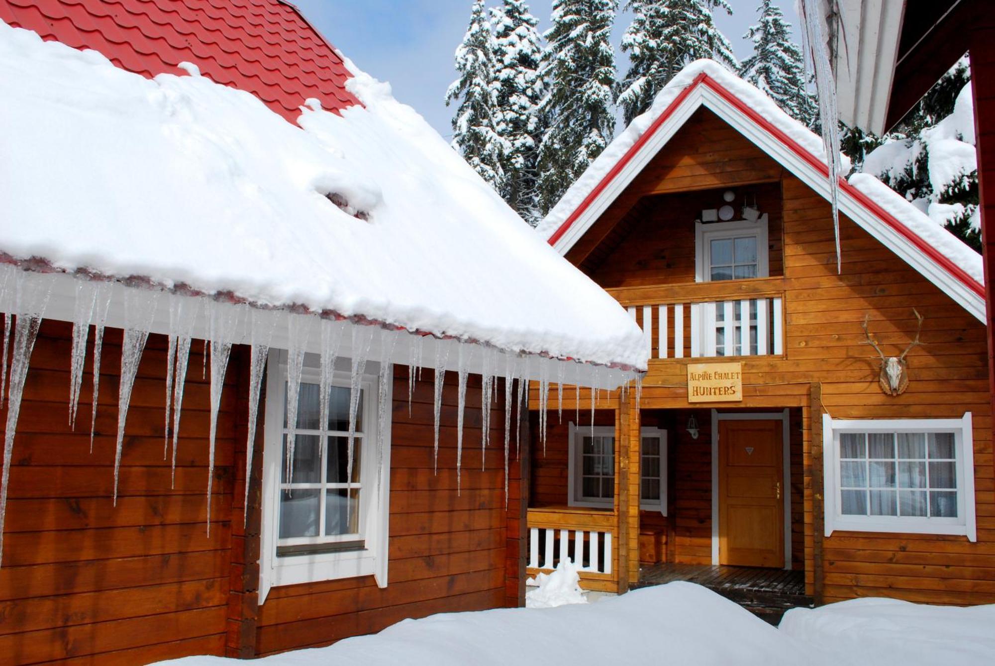 Alpine Ski Chalet Borovets With Sauna Quarto foto
